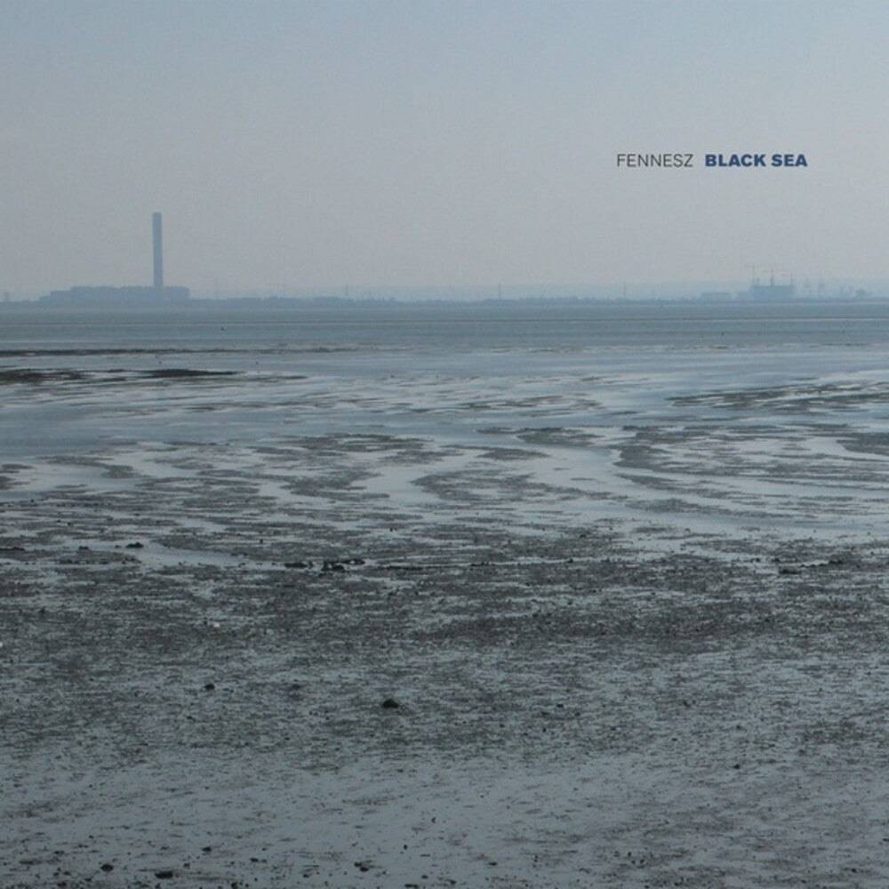 the album cover for Fennesz - Black Sea