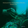 the album cover for SSVU - David Lynch Has a Painting Made of Flies Eyes / Suzanne Ciani  [RSD Black Friday 2022]