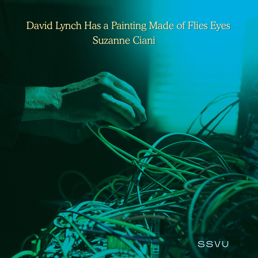 the album cover for SSVU - David Lynch Has a Painting Made of Flies Eyes / Suzanne Ciani  [RSD Black Friday 2022]