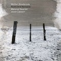 the album cover for Wolfert Brederode  / Matangi Quartet / Lijbaart - Ruins And Remains