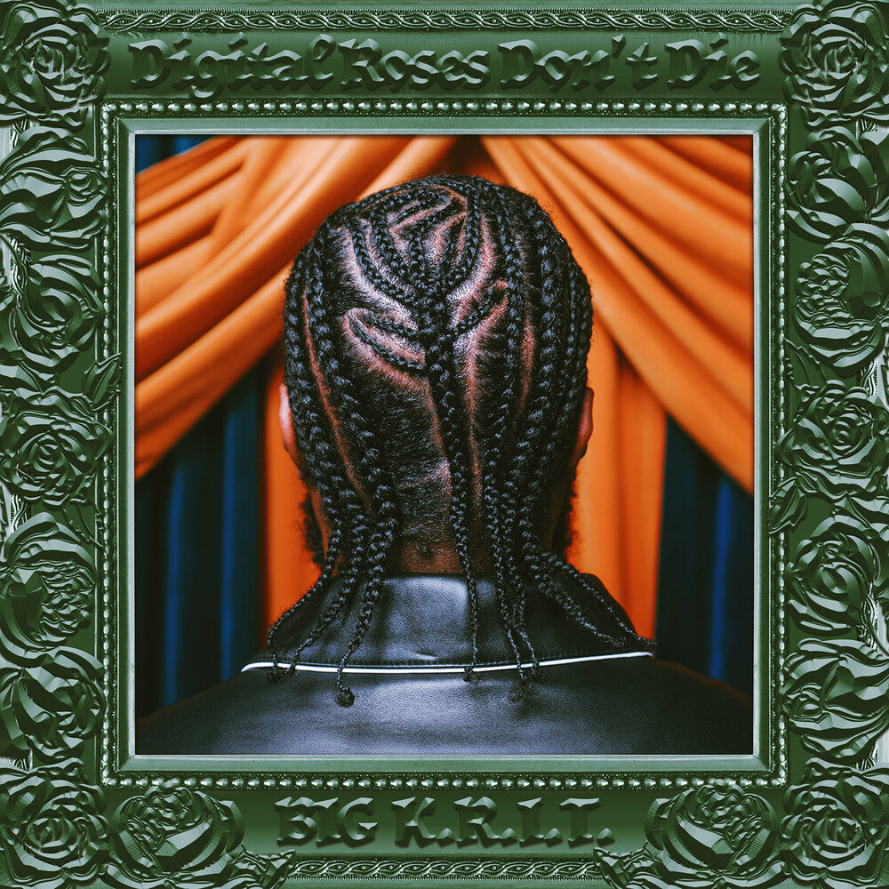 the album cover for Big K.R.I.T. - Digital Roses Don't Die