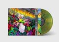 the album cover for Built To Spill - When The Wind Forgets Your Name [Loser Edition Rainforest Green Marble LP]