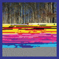 the album cover for Daniel Bachman - Almanac Behind