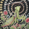 the album cover for Eugene Chadbourne - Mourning Of The Praying Mantis / Worms With
