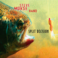 the album cover for Steve Morse Band - Split Decision - Green