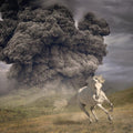 the album cover for The White Buffalo - Year Of The Dark Horse