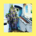 the album cover for Reds Pinks & Purples - They Only Wanted Your Soul (Blue) [Colored Vinyl] (Aus)
