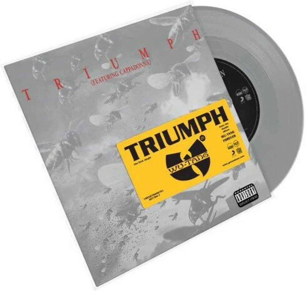 the album cover for Wu-Tang Clan - Triumph / Heaterz