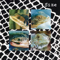 the album cover for Size - Nadie Puede Vivir Con Un Monstruo - Blue