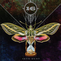 the album cover for 16 - INTO DUST