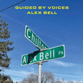 the album cover for Guided By Voices - Focus On The Flock