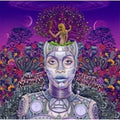 the album cover for Erykah Badu - New Amerykah Part Two (Return Of The Ankh) [Colored Vinyl]
