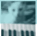 the album cover for Peter Broderick - Piano Works Vol. 1 (Floating In Tuckers Basement)
