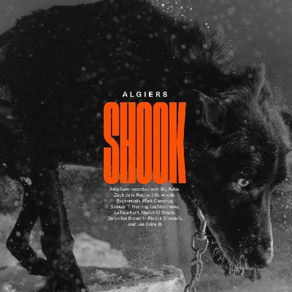 the album cover for Algiers - Shook [2LP]