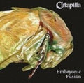 the album cover for Catapilla - Embryonic Fusion (Uk)