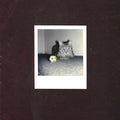 the album cover for Goalie's Anxiety At The Penalty Kick - Ways Of Hearing (Uk)