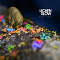 the album cover for Lichen Slow - Rest Lurks