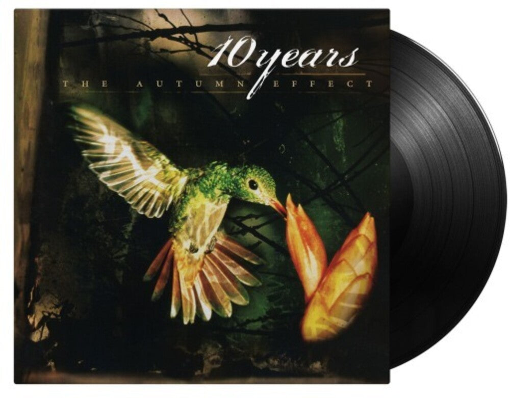 the album cover for 10 Years - The Autumn Effect [LP]