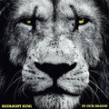 the album cover for Redlight King - In Our Blood
