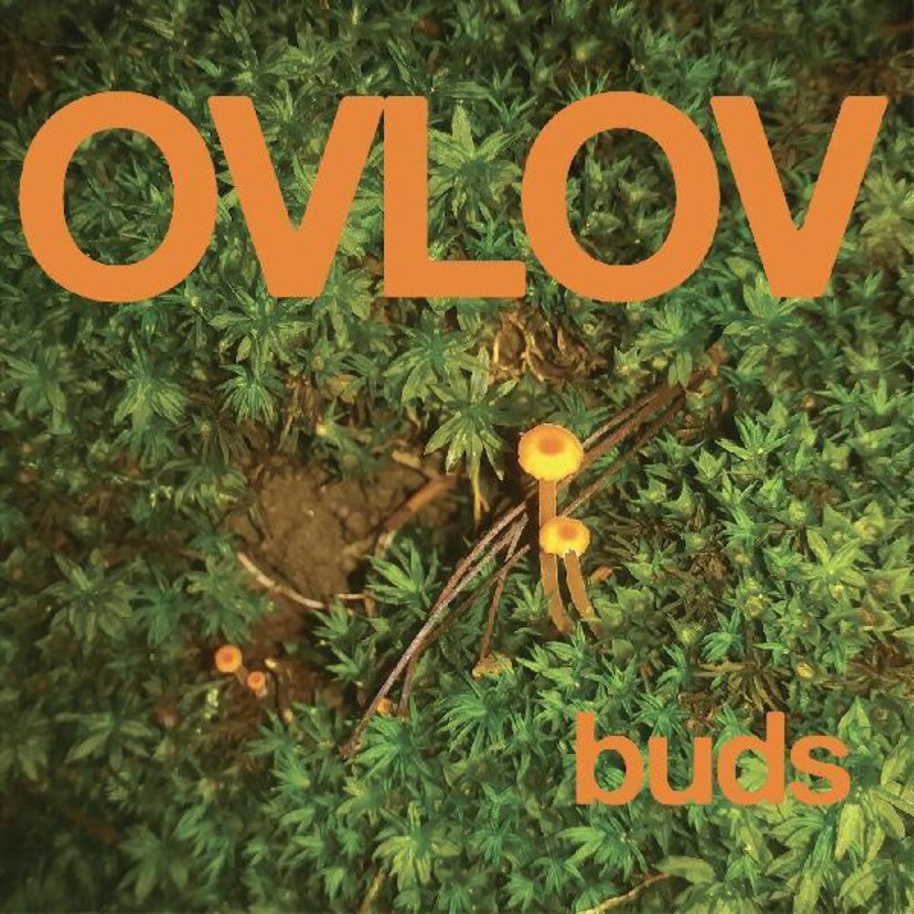 the album cover for Ovlov - Buds [Colored Vinyl] (Org) [Indie Exclusive]