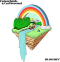 the album cover for Futurebirds & Carl Broemel - Bloomin' - Orange
