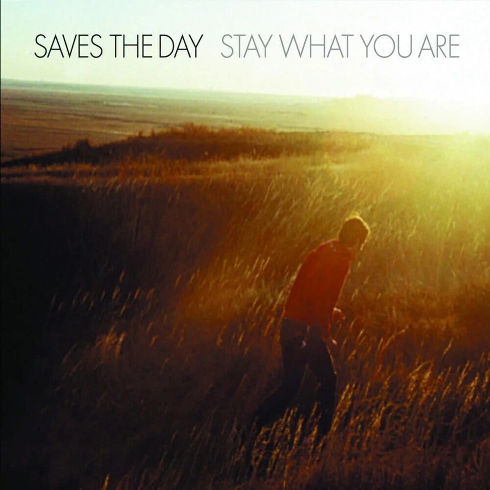 the album cover for Saves The Day - Stay What You Are [Import Splatter 2 10in]