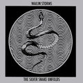 the album cover for Wailin Storms - Silver Snake Unfolds