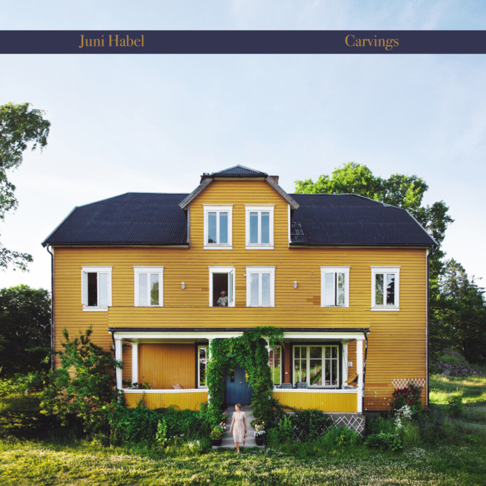 the album cover for Juni Habel - Carvings