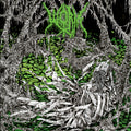 the album cover for Worm - Gloomlord - Splatter [Colored Vinyl]