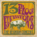 the album cover for 13th Floor Elevators - Reunion Concert [Colored Vinyl] (Ylw) (Can)