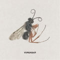 the album cover for Vundabar - Good Old [Colored Vinyl]