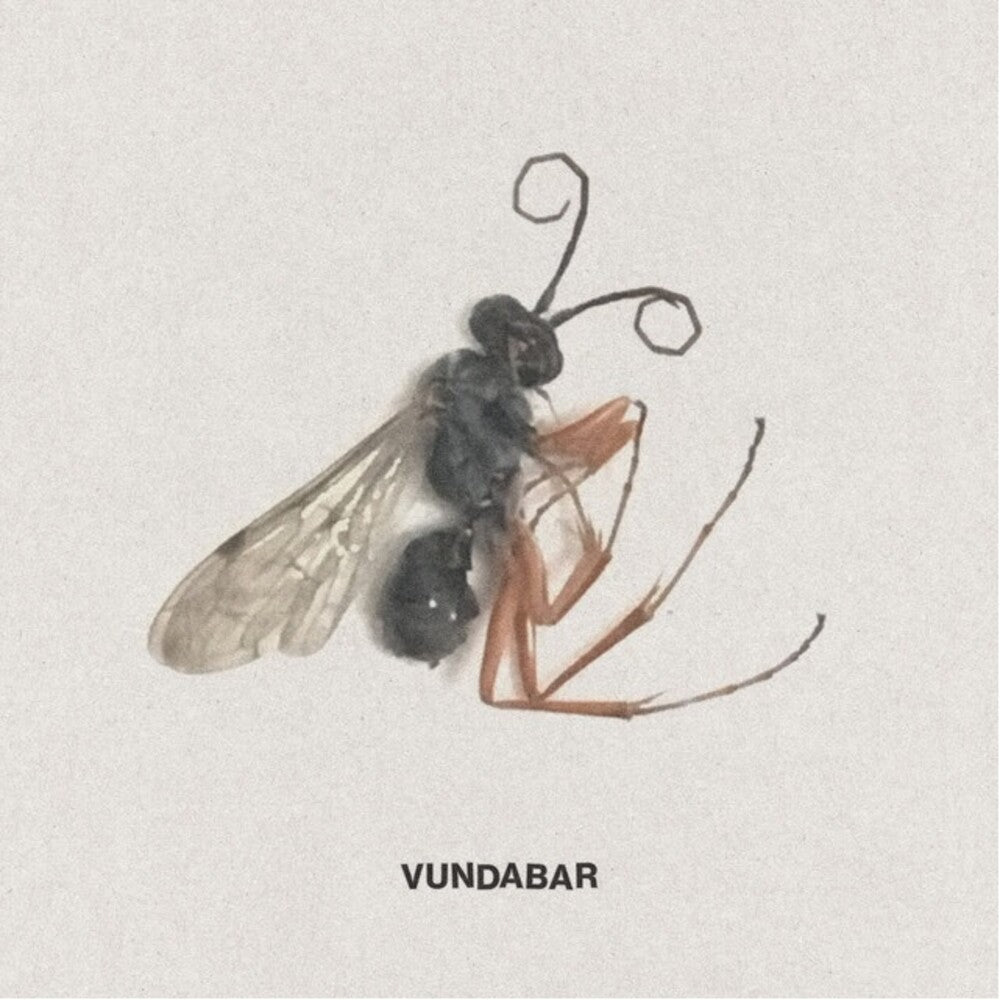 the album cover for Vundabar - Good Old [Colored Vinyl]