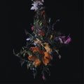 the album cover for Big/Brave - Nature Morte [Download Included]