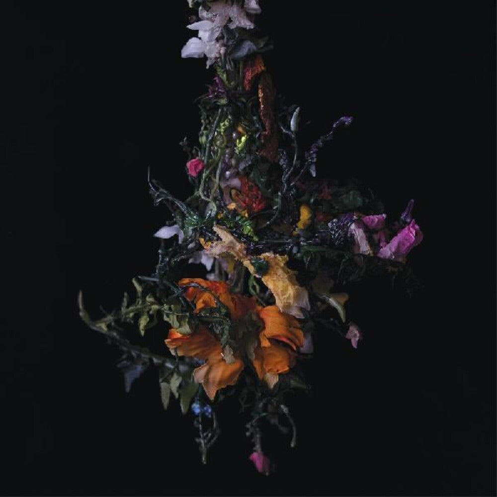 the album cover for Big/Brave - Nature Morte [Download Included]