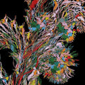the album cover for Weval - Remember [2LP]