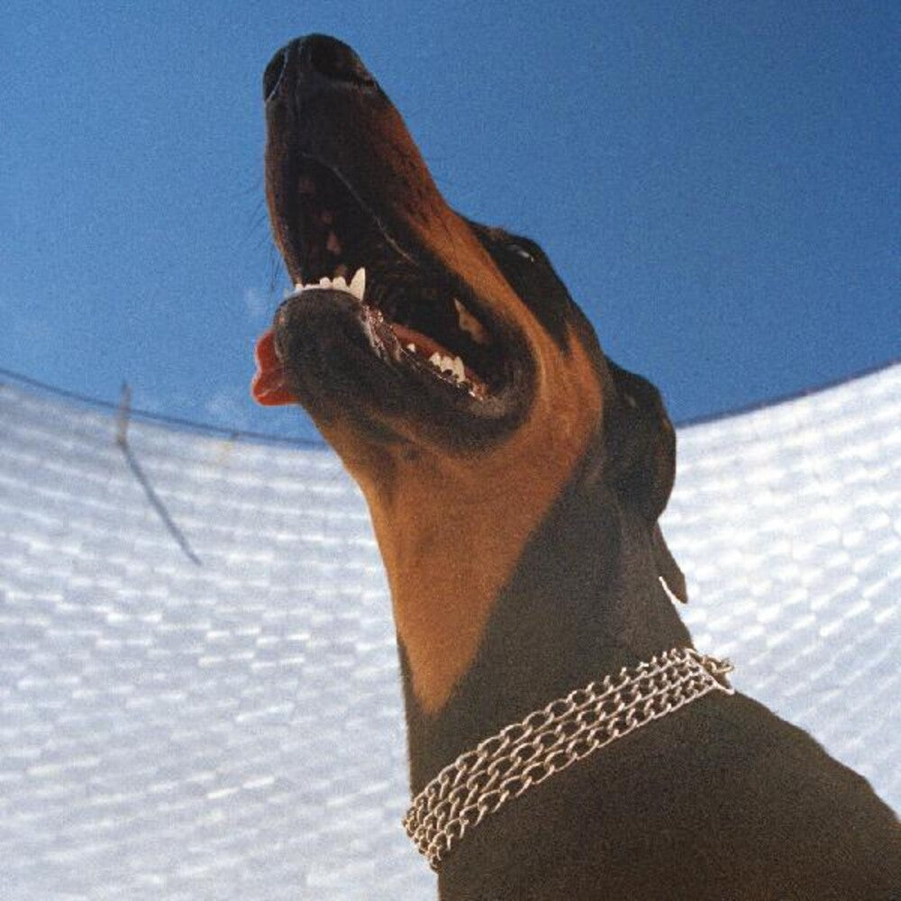 the album cover for Overmono - Good Lies [LP]