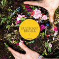 the album cover for Braids - Euphoric Recall [LP]