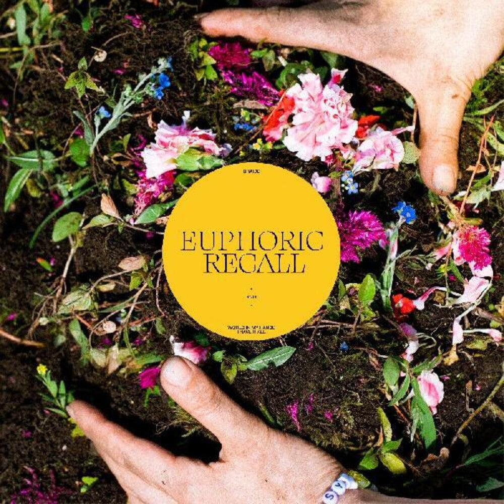 the album cover for Braids - Euphoric Recall [LP]