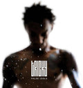 the album cover for Tricky - False Idols [Colored Vinyl] (Wht) (Uk)