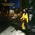 the album cover for Easy Star All-Stars - Ziggy Stardub