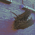 the album cover for Filmmaker - Multiverse Nightmare