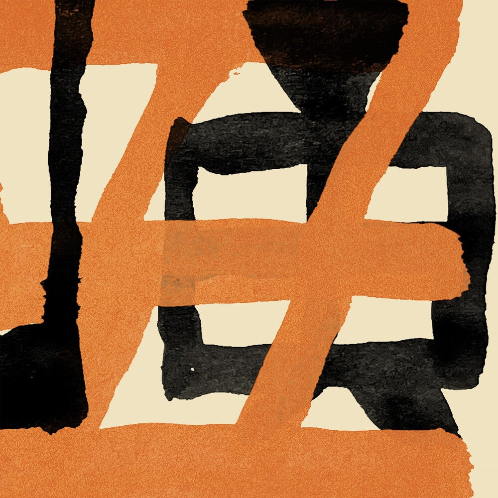 the album cover for Wang Wen - Painful Clown & Ninja Tiger