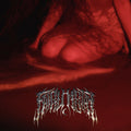 the album cover for Banshee - Fairy Metal