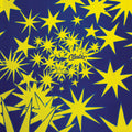 the album cover for Cluster - Cluster Ii