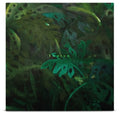 the album cover for Tunico - Tunico (Uk)