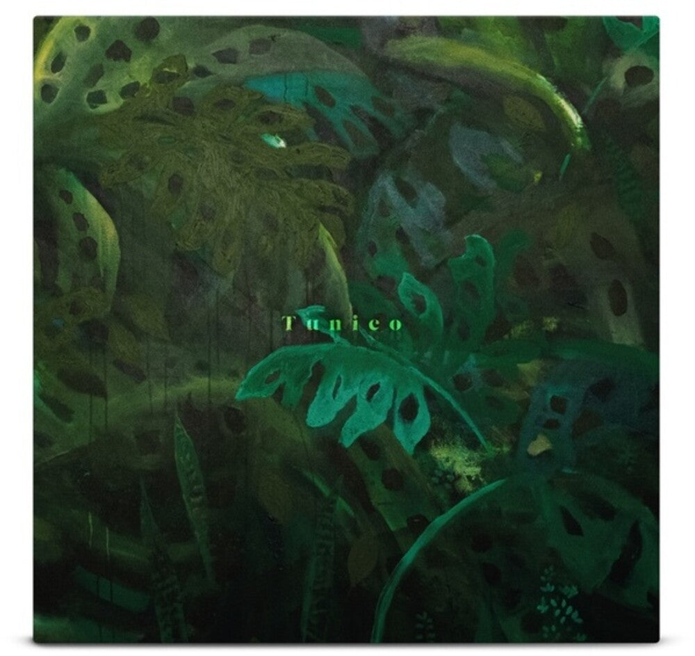 the album cover for Tunico - Tunico (Uk)