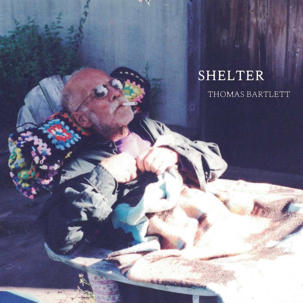 the album cover for Thomas Bartlett - Shelter [LP]