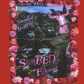 the album cover for Ariel Pink's Haunted Graffiti - Scared Famous/FF>> [2 LP]