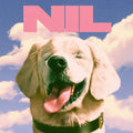 the album cover for The Dirty Nil - Fuck Art [Limited Edition Pink LP]