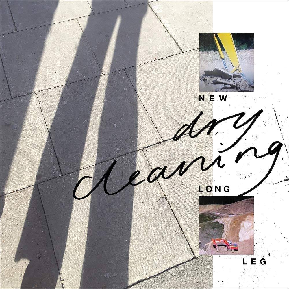 the album cover for Dry Cleaning - New Long Leg [Indie Exclusive Limited Edition Yellow LP]